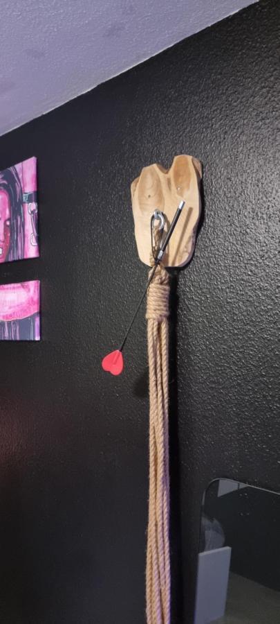 Le Coin Des Desirs Bdsm Apartment Strasbourg Luaran gambar